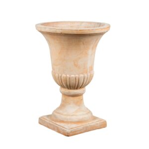 Garden old Puchar smukły