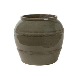 Delia Osłonka pękata 2