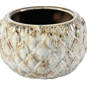 Włoskie niebo Osłonka łuski niska