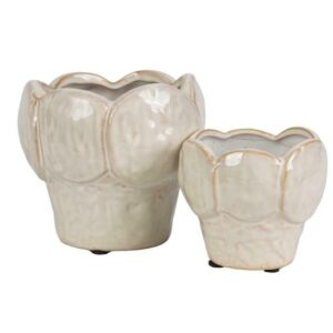 Roma Osłonka kwiat B