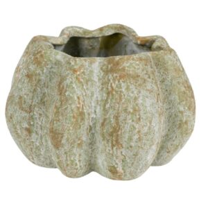 Antique Osłonka pękata