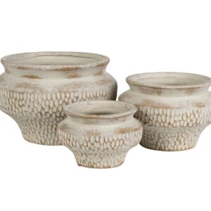 Albero Osłonka pękata 4A