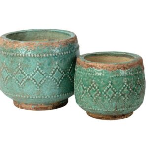 Verona Osłonka pękata A