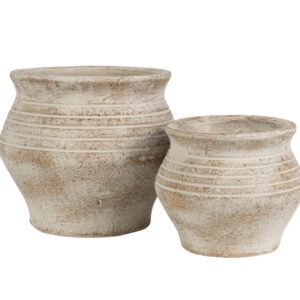 Albero Osłonka pękata 2B