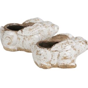 Roma Osłonka zając A